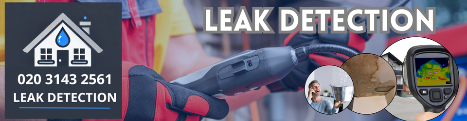 Edgware Leak Detection